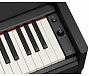Цифровое пианино YAMAHA YDP-S56B Arius