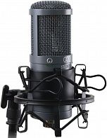 Микрофон AuraSonics AD22S STEREO