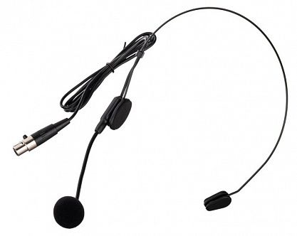 Микрофон LAudio C2