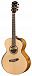 Электроакустика CORT Cut-Craft-Limited-WCASE-N