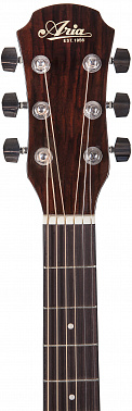Акустическая гитара ARIA ADF-01 N