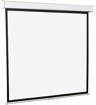 Экран Lumien Master Picture LMP-100118