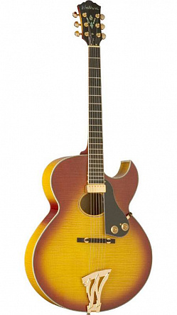 ЭЛЕКТРОГИТАРА WASHBURN J4HB