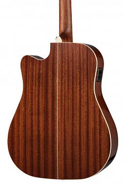 Электроакустика Root Note RD300CE-NT
