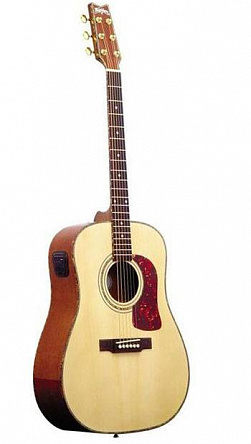 АКУСТИЧЕСКАЯ ГИТАРА WASHBURN DK20T(N)