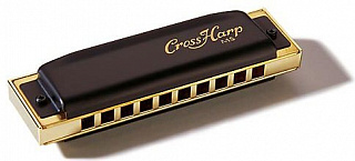 ГУБНАЯ ГАРМОШКА HOHNER CROSS HARP 565/20 MS G