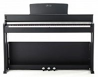 Цифровое пианино Beisite B-808 Pro BK