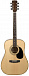 Акустическая гитара CORT AD880-NS