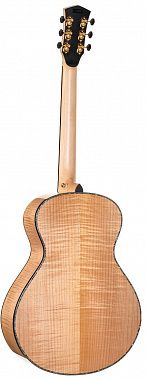 Электроакустика Cort Gold-Passion-WCASE-NAT