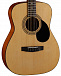 Акустическая гитара CORT AF510 OP