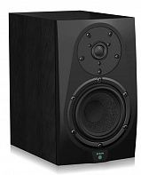 Студийный монитор ICON DT-5S