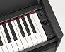 Цифровое пианино YAMAHA YDP-S55B Arius