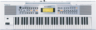 СИНТЕЗАТОР ROLAND E-09W