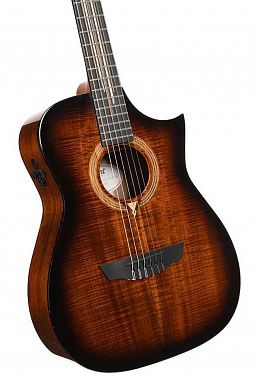 Электроакустика CORT LUXE-NYLON-II-WCASE-BKB