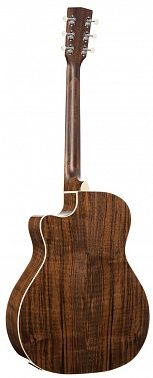 Электроакустика Cort Exotic-GA-Walnut-SS