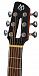 Акустическая гитара Mollo Guitar TM-12C