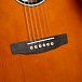 Электроакустика Cort Exotic-GA-Walnut-SS