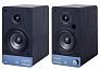 Акустическая система Radiotehnika S-10NA Black Ash