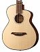 Акустическая гитара Mollo Guitar TM-12C