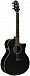 Электроакустика CRAFTER HG-250CE/BK