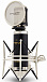 Микрофон MARANTZ PROFESSIONAL MPM-2000