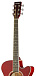 Акустическая гитара HOMAGE LF-401C-R