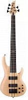 Бас-гитара LTD B-1005NS