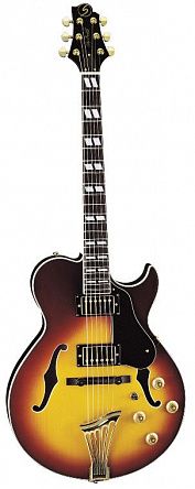 ПОЛУАКУСТИЧЕСКАЯ ГИТАРА GREG BENNETT RL5