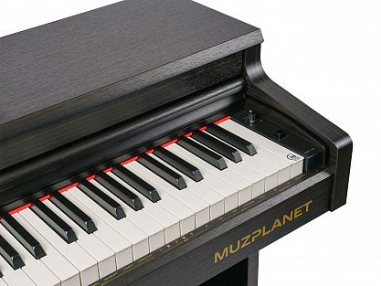 Цифровое пианино MUZPLANET YDP-145R