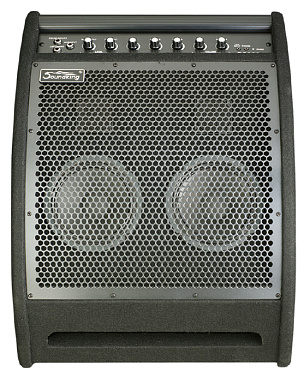 Монитор Soundking DS200