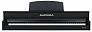 Цифровое пианино Aurora AU120-BK
