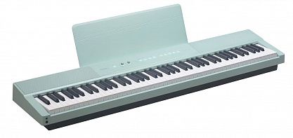 Цифровое пианино Medeli SP-C220-GN
