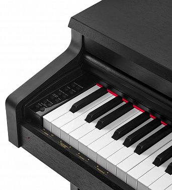 Цифровое пианино MUZPLANET YDP-145B