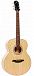 Акустическая гитара MOLLO SJ-60NA