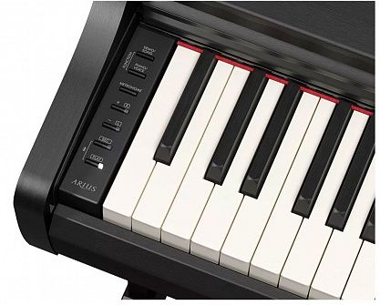 Цифровое пианино YAMAHA YDP-166B Arius