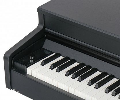 Цифровое пианино Aurora AU110-BK
