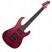 ЭЛЕКТРОГИТАРА WASHBURN WR587