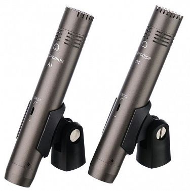Микрофон Prodipe PRO2XA1 A1 Duo
