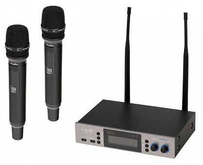Радиосистема LAudio LS-301-2M