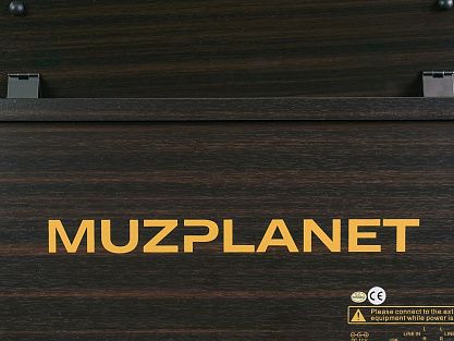 Цифровое пианино MUZPLANET YDP-145R