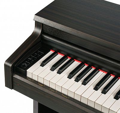 Цифровое пианино MUZPLANET YDP-145R