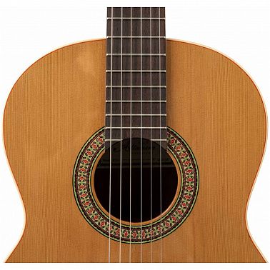 Классическая гитара Altamira N100+