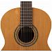 Классическая гитара Altamira N100+