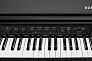 Цифровой рояль KURZWEIL CUP G1W BP