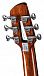 Акустическая гитара Mollo Guitar TM-12C