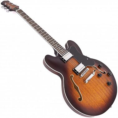 Полуакустика EART E-335 Brown Sunburst