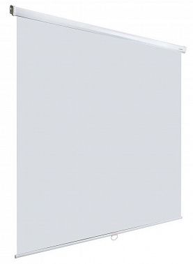 Экран Lumien Eco Picture LEP-100107