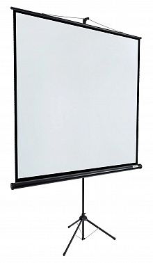 Экран Lumien Eco View LEV-100105