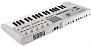 Синтезатор KORG microKORG2 MWH