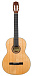 Классическая гитара ROCKDALE Classic C10